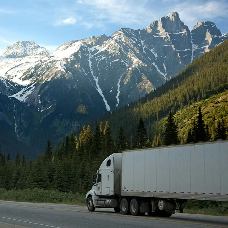 truck-mts White semi truck driving past evergreen trees